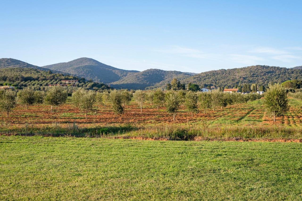 Agriturismo Terre Di Castiglione Castiglione della Pescaia Exterior foto